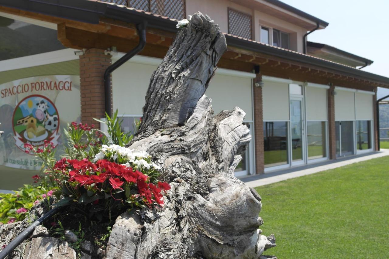Agriturismo Fattoria Monte Baldo Vista Lago 卡普里诺韦罗内塞 外观 照片