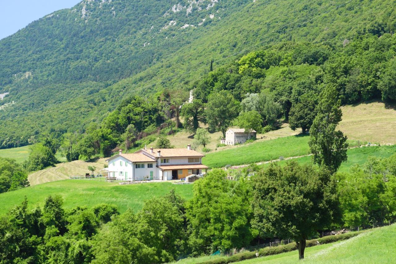 Agriturismo Fattoria Monte Baldo Vista Lago 卡普里诺韦罗内塞 外观 照片
