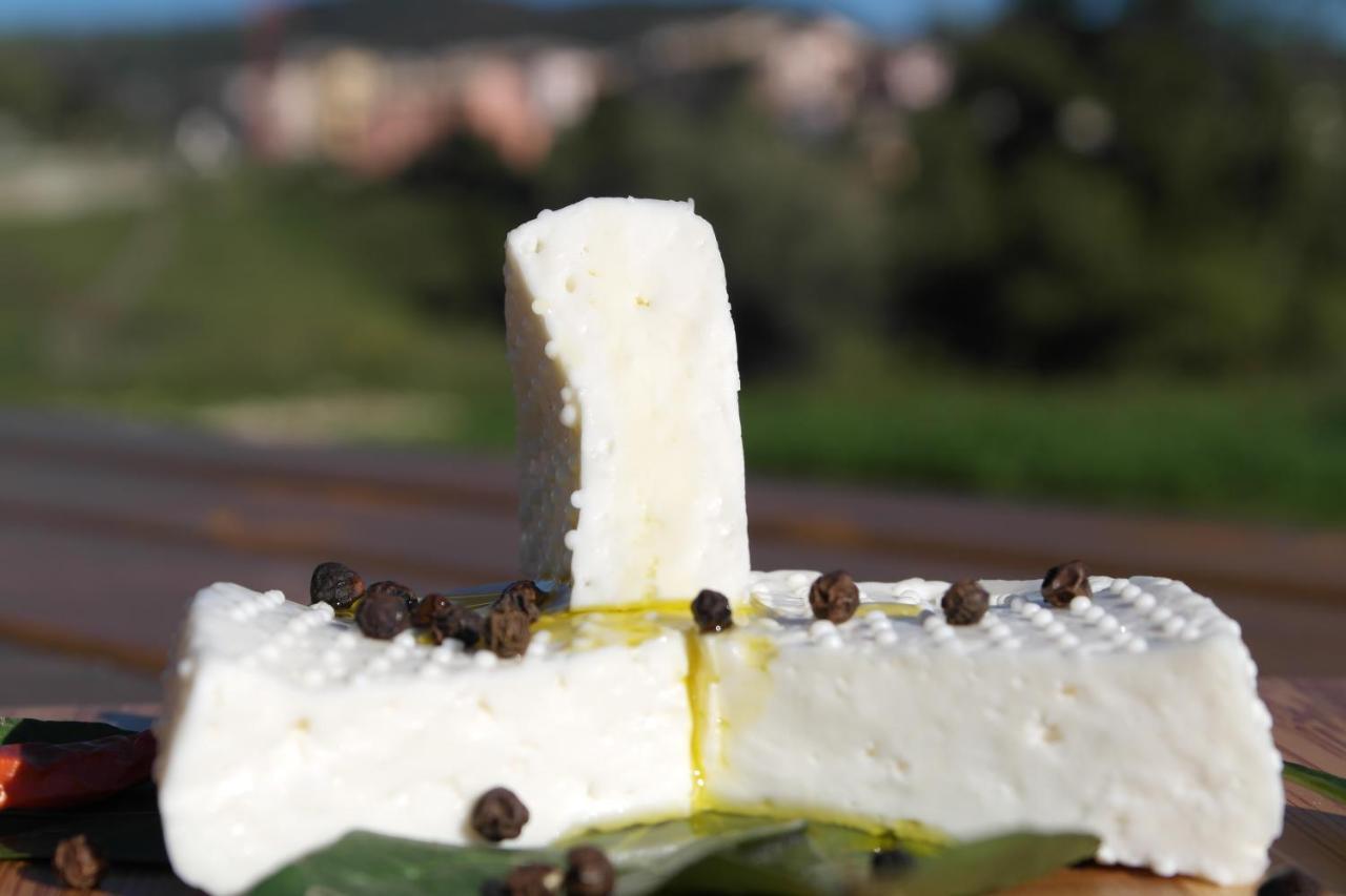 Agriturismo Fattoria Monte Baldo Vista Lago 卡普里诺韦罗内塞 外观 照片